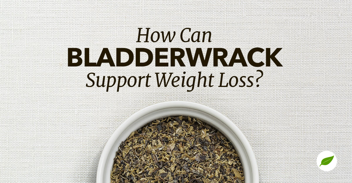 bladderwrack for weight loss