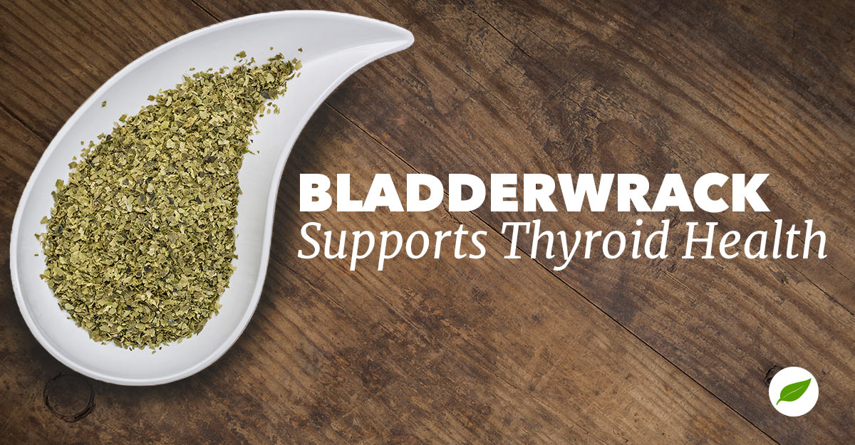 bladderwrack for thyroid