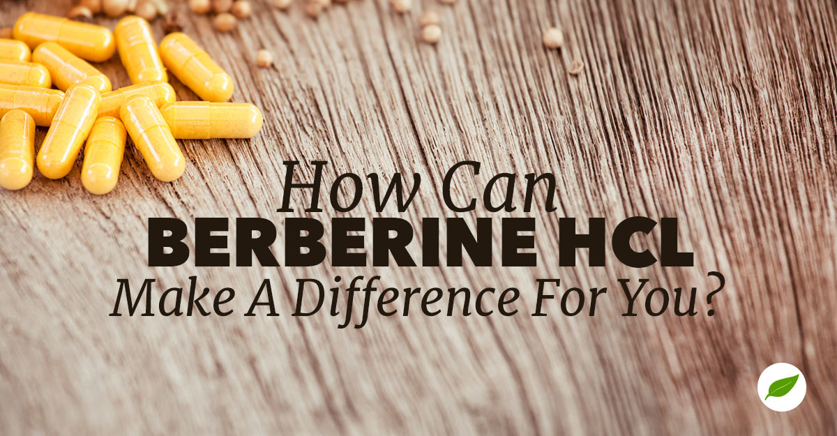 berberine hcl