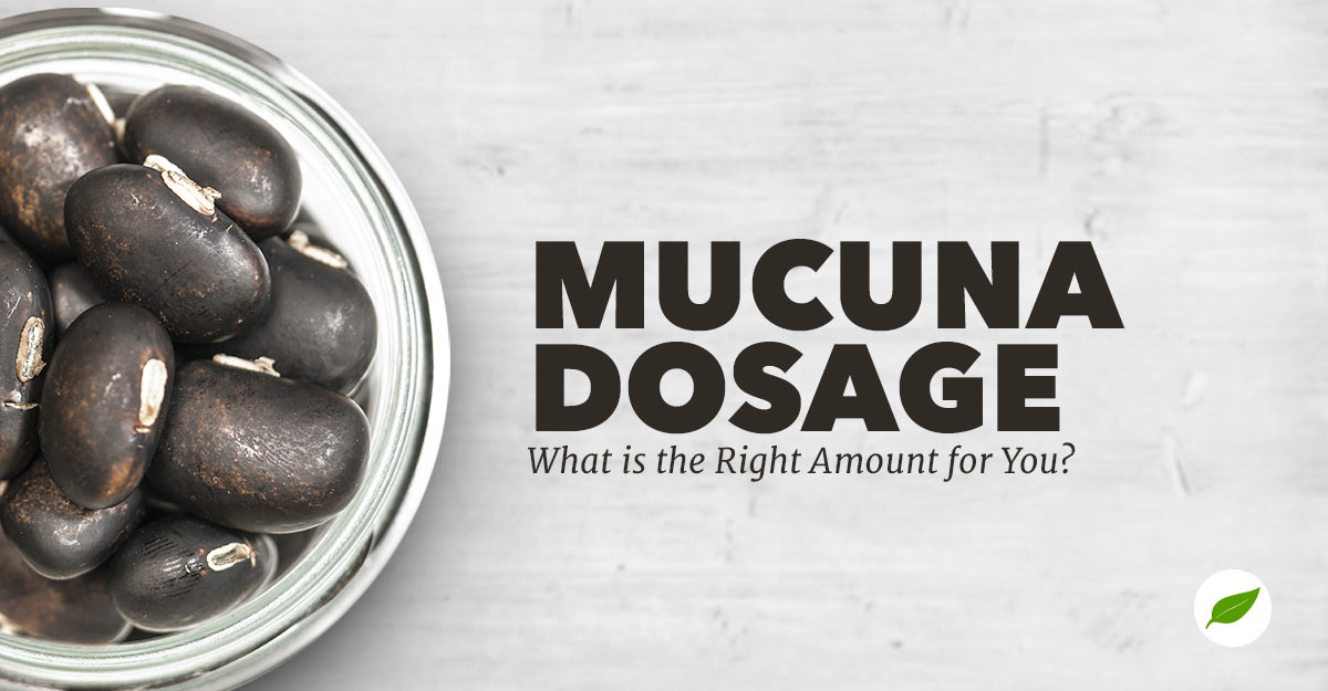 mucuna dosage
