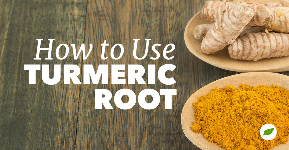 how to use turmeric root