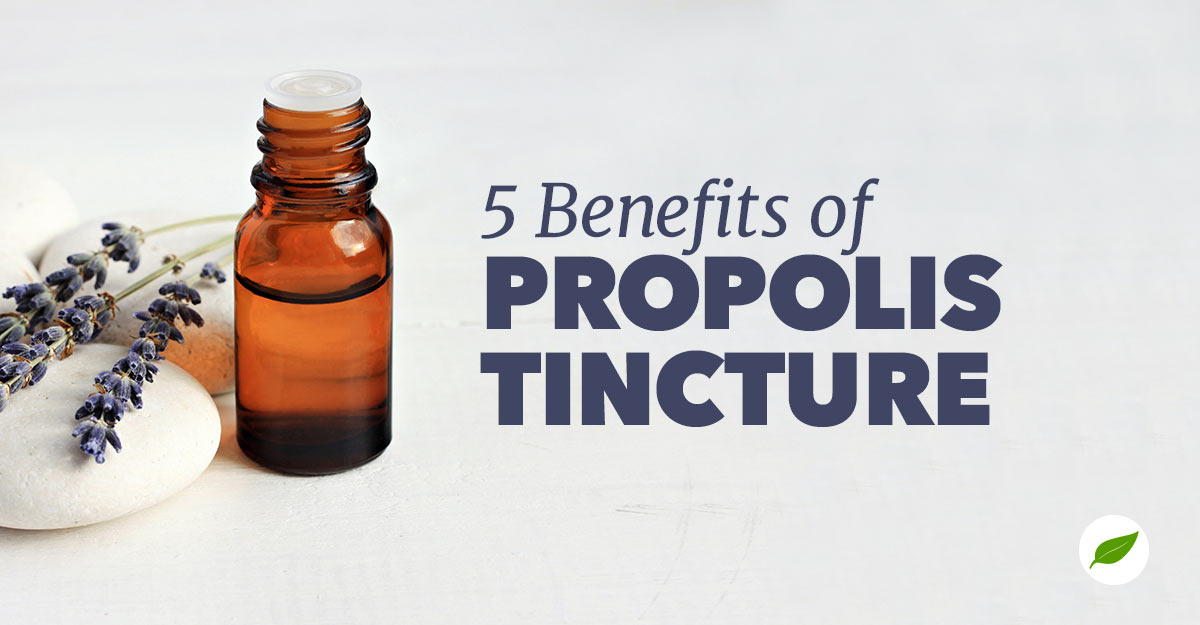 propolis tincture