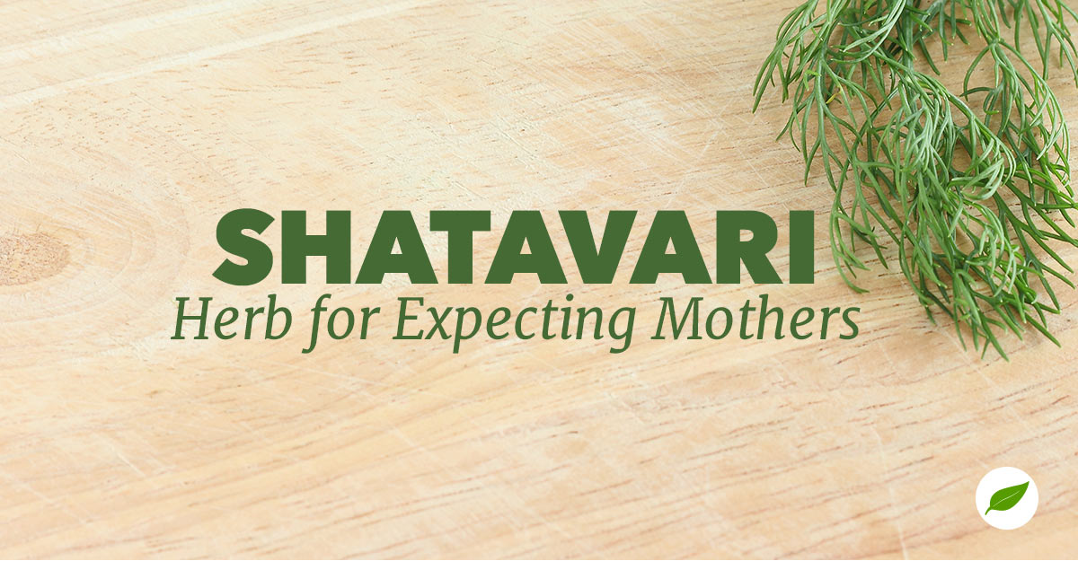 Shatavari-herb-expecting-mother
