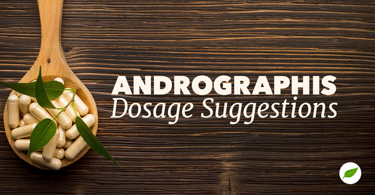 andrographis-dosage-suggestions