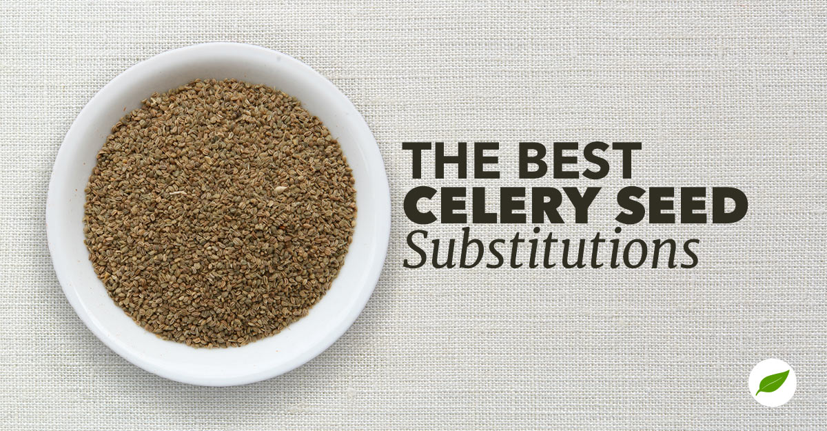 celery-seed-substitutes