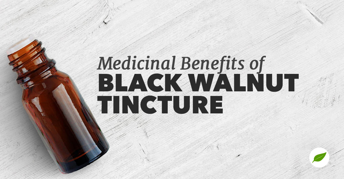 black-walnut-tincture