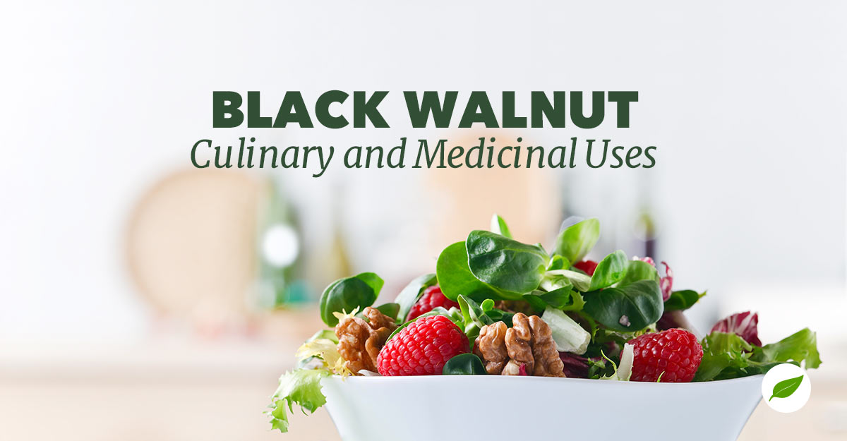 black-walnut-uses