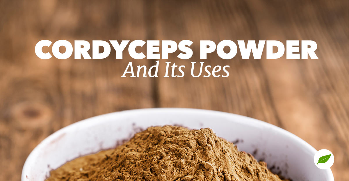 cordyceps powder