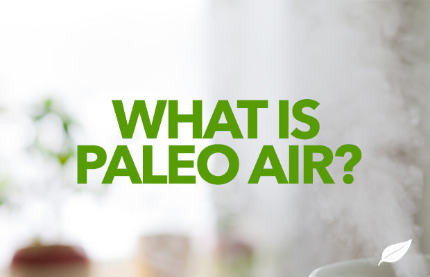 What-Paleo-Air-Respiratory-Diet