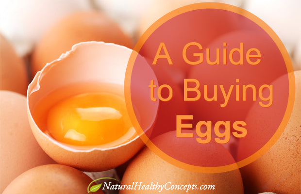 Cage-Free, Free-Range, Pasture-Raised, Organic: What are You Really Buying When you Buy Eggs?