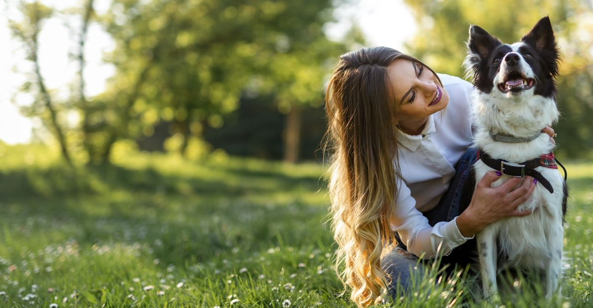 A medium sized dog being hugged by their owner