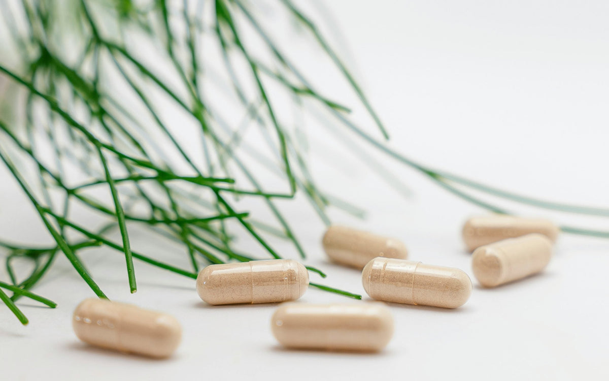 supplements to take while on glp-1 Supplement resveratrol. 5 Best Supplements To Take