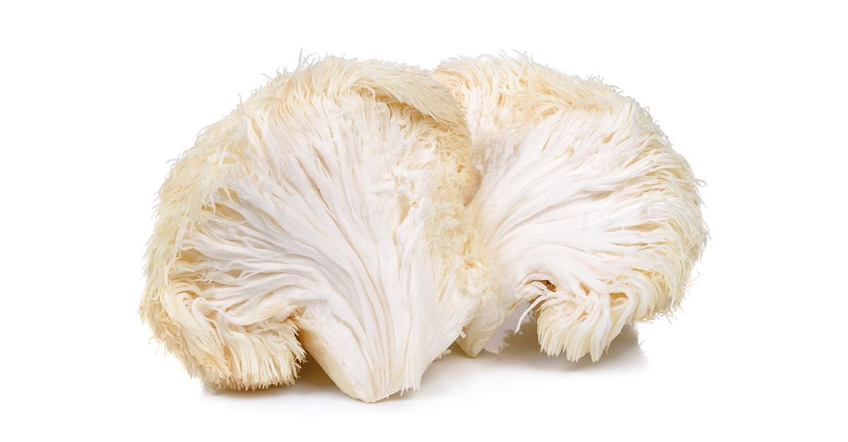 A picture of mushrooms