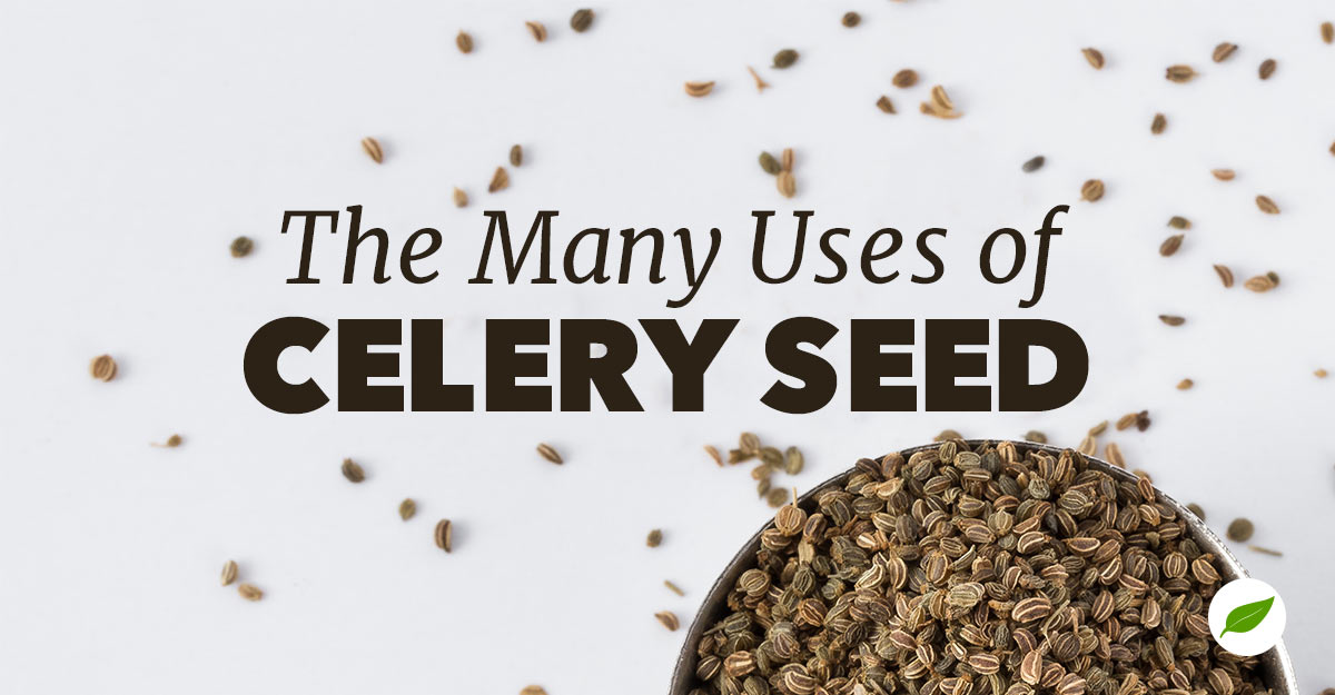 Celery-Seed-Uses