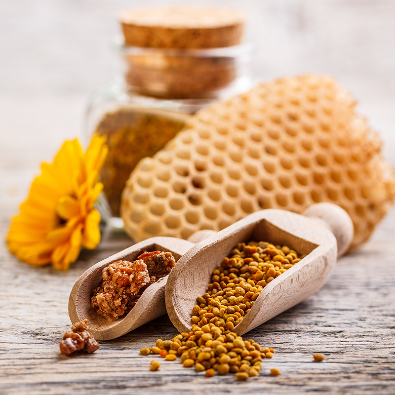 Honeycomb and Bee Propolis