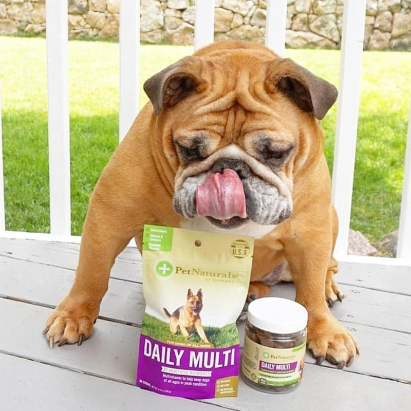 Dog with daily multivitamin