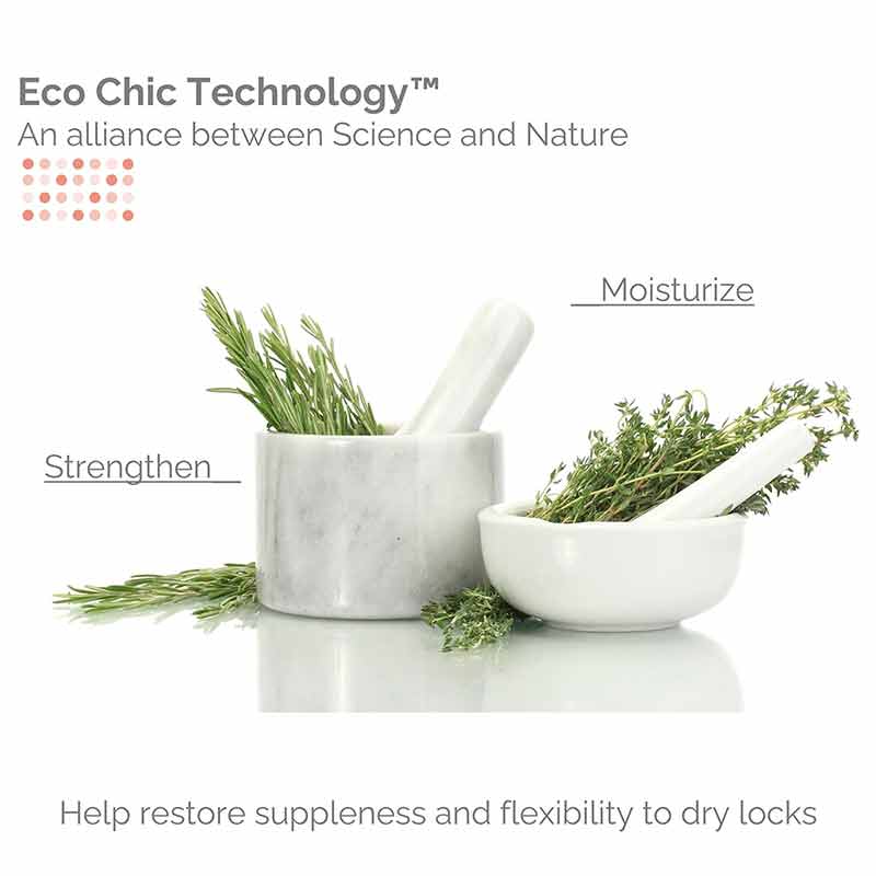 50:50 Balanced Hydrating Clarifying Shampoo, by Giovanni, image #3