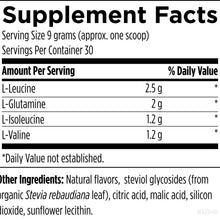 BCAA Powder with L-Glutamine, 9.5 Oz, by Designs For Health