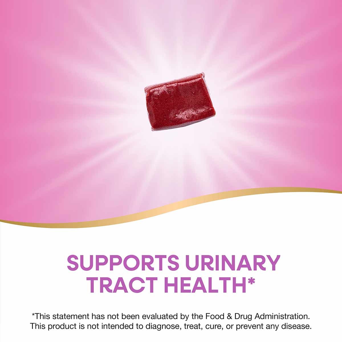 ActiFruit Cranberry Fruit Chew, by Natures Way