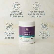 Active Peptides Metabolism Powder, by Ancient Nutrition