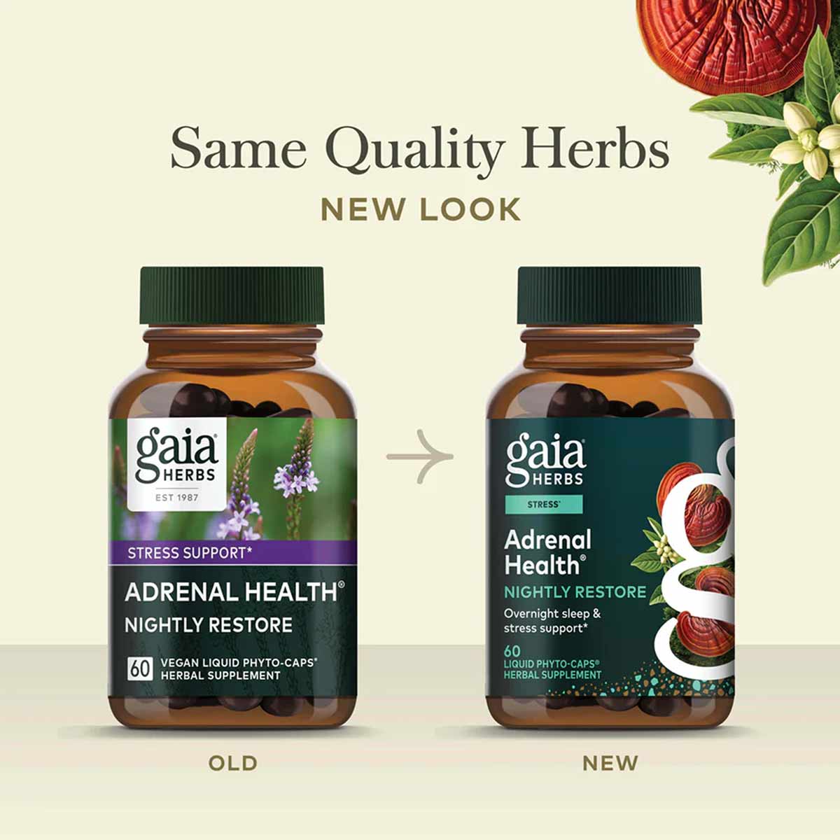 Adrenal Health Nightly Restore, by Gaia Herbs