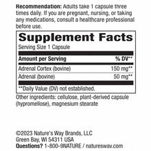 ADRENergize, by Natures Way, image #2