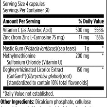GastroMend-HP, by Designs For Health