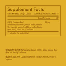 AHCC, 60 Capsules, by Olympian Labs