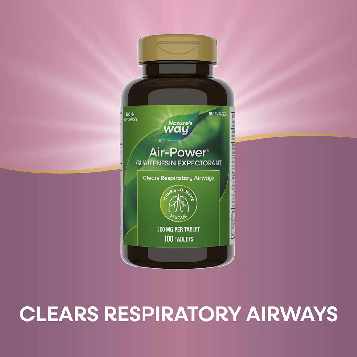 Air-Power Guaifenesin Expectorant, by Natures Way