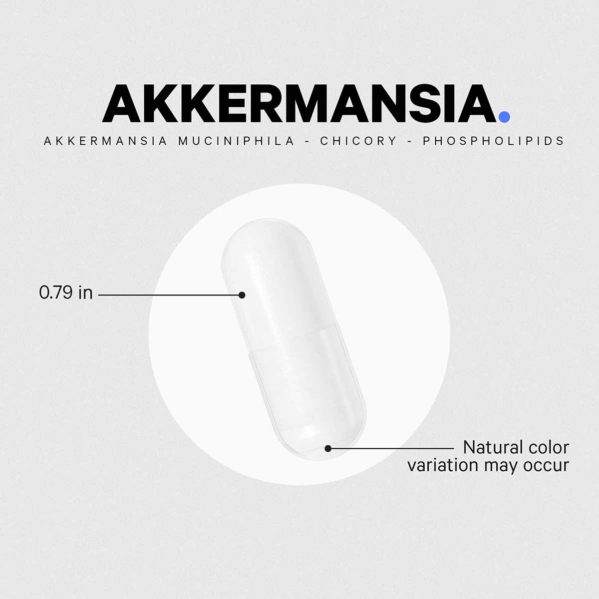 Akkermansia Probiotic Prebiotic, by Codeage