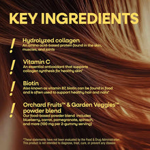 Infographic listing key ingredients for hair, skin and nails gummies including hydrolyzed collagen, vitamin C, biotin, and fr