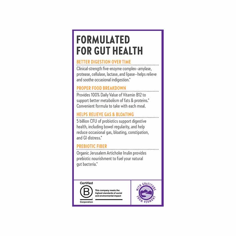 All Flora Probiotic Enzyme Complex, New Chapter – Natural Healthy