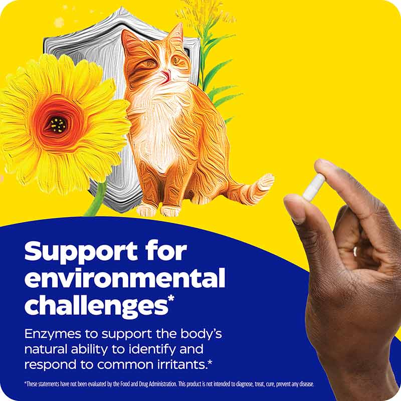 Allerase, 60 Capsules, by Enzymedica, image #7