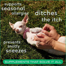 Allergy & Immune Chews, An Allergy & Itch Relief Supplement, 60, by Native Pet, image #3