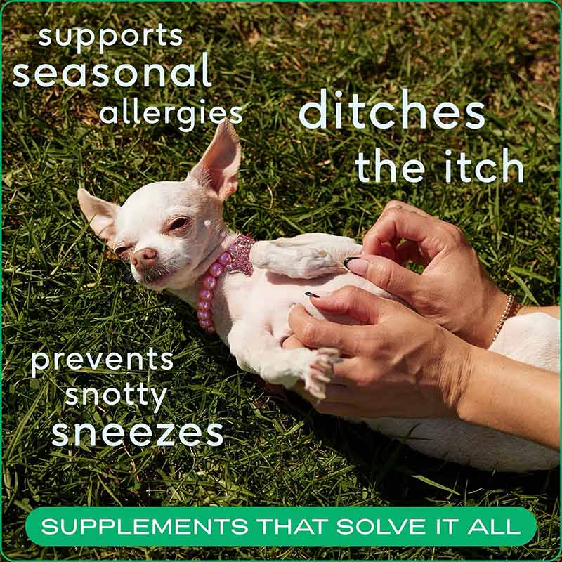 Allergy & Immune Chews, An Allergy & Itch Relief Supplement, 60, by Native Pet, image #3