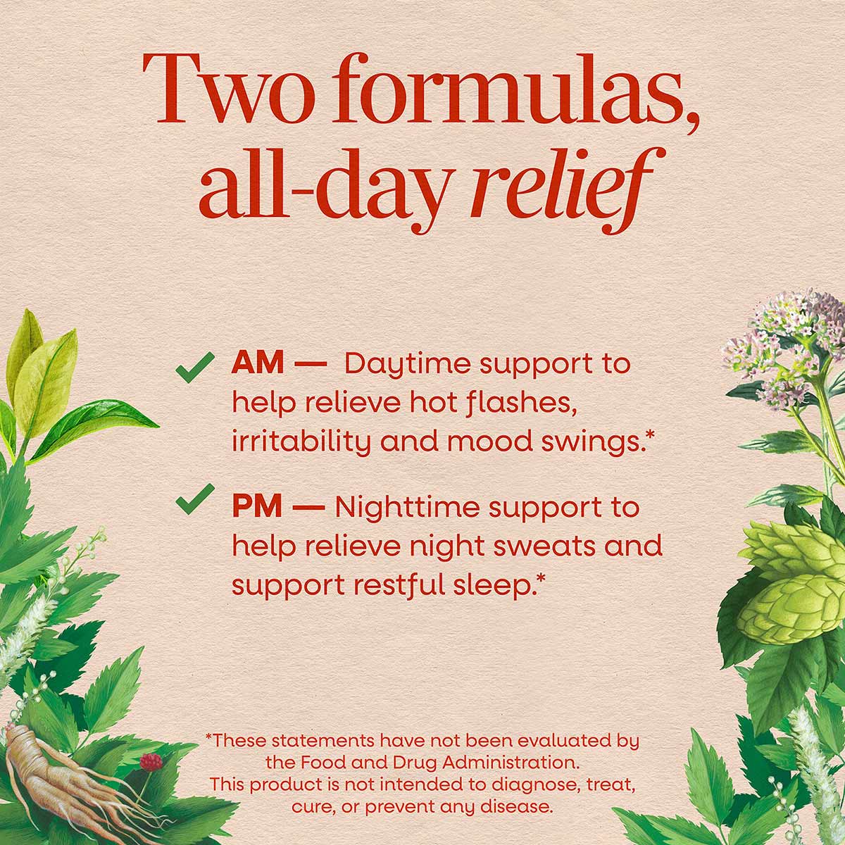 AM/PM Menopause Formula, by Natures Way
