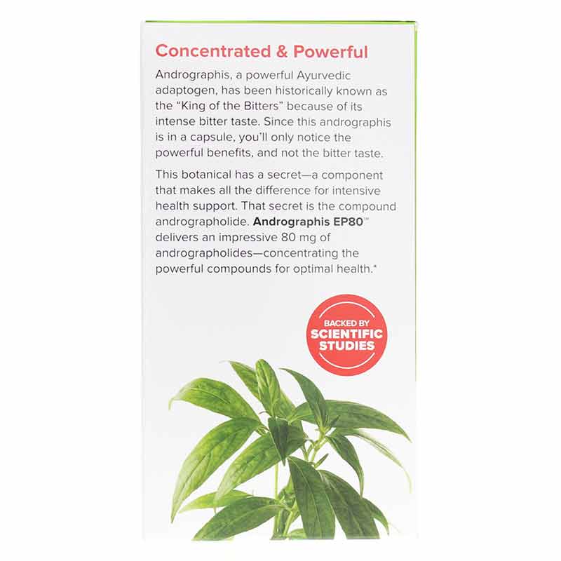 Andrographis EP80 Extra Strength, by Terry Naturally, image #4