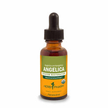 Brown glass dropper bottle with yellow and green label reading "Angelica" by Herb Pharm, 1 fluid ounce size.