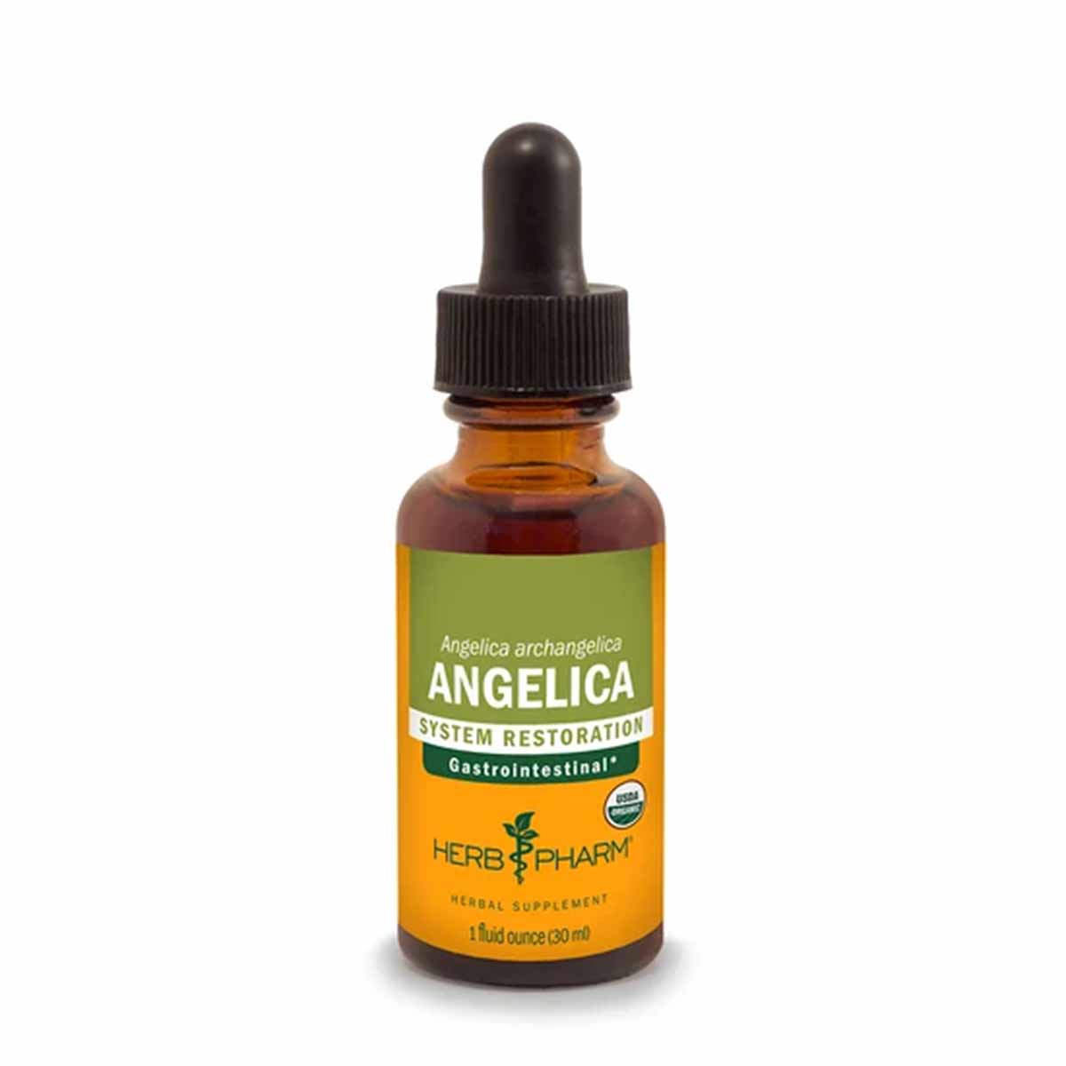 Brown glass dropper bottle with yellow and green label reading "Angelica" by Herb Pharm, 1 fluid ounce size.