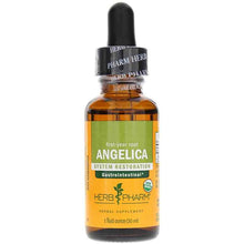 Angelica Extract, by Herb Pharm