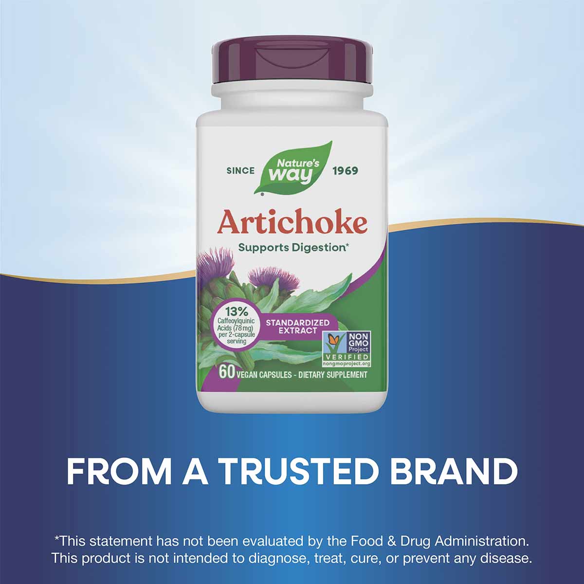 Artichoke Standardized, by Natures Way