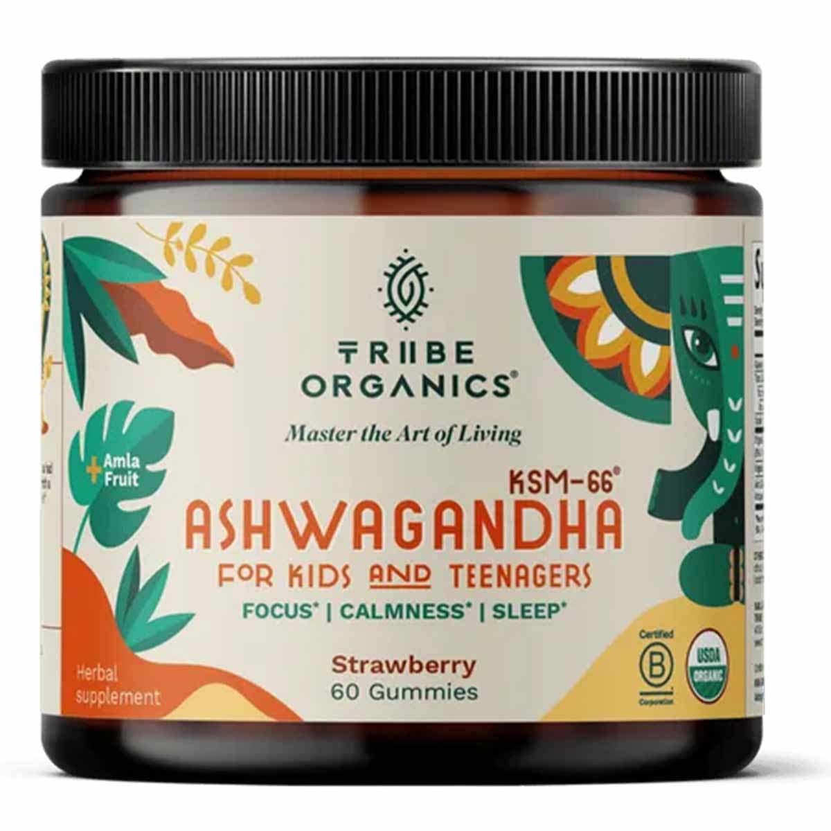 Ashwagandha KSM-66 Gummies for Kids & Teenagers, 60 Gummies, by Tribe Organics
