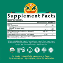 Ashwagandha KSM-66 Gummies for Kids & Teenagers, 60 Gummies, by Tribe Organics