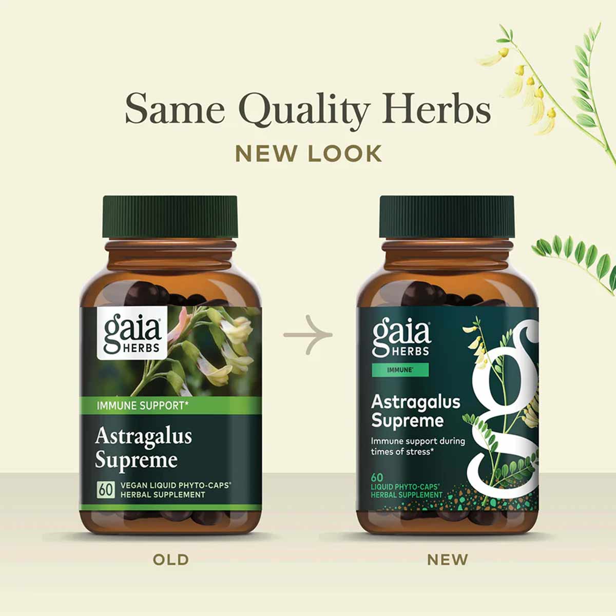 Two brown glass bottles of Gaia Herbs Astragalus Supreme side by side showing old and new label designs.