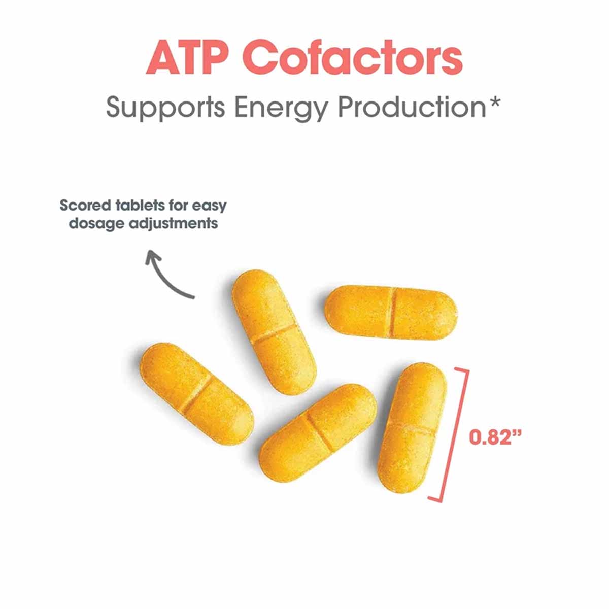 Yellow scored tablets for ATP Cofactors supplement, approximately 0.82 inches in length.