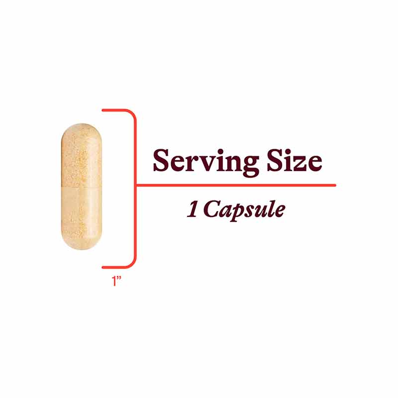 Program B Plus B Complex Plus, Seeking Health – Natural Healthy Concepts