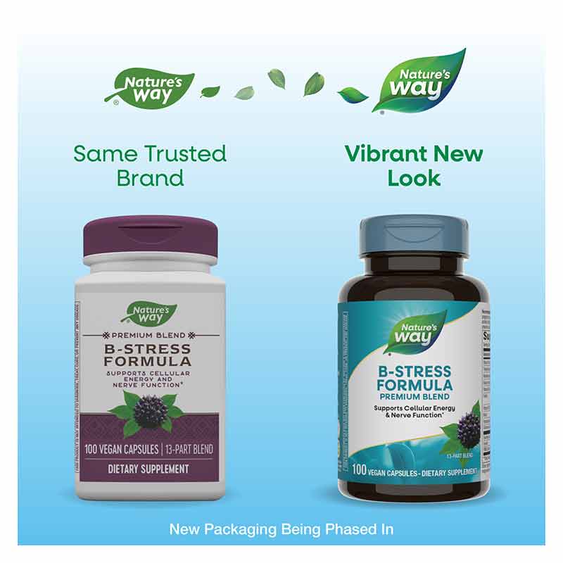 B-Stress Formula, 100 Vegan Capsules, by Natures Way, image #3
