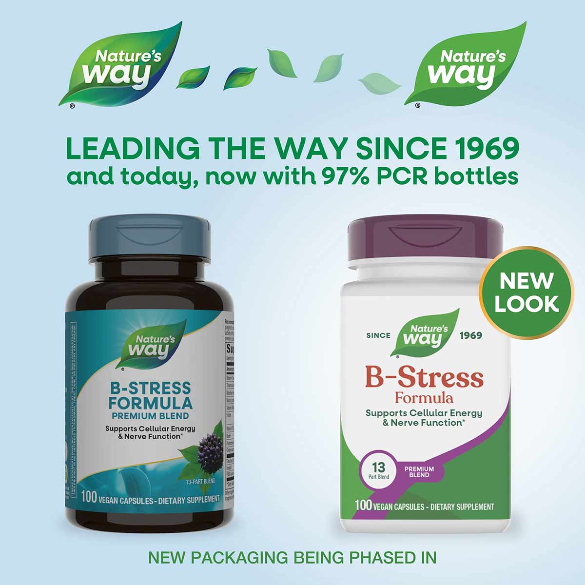 B-Stress Formula, by Natures Way