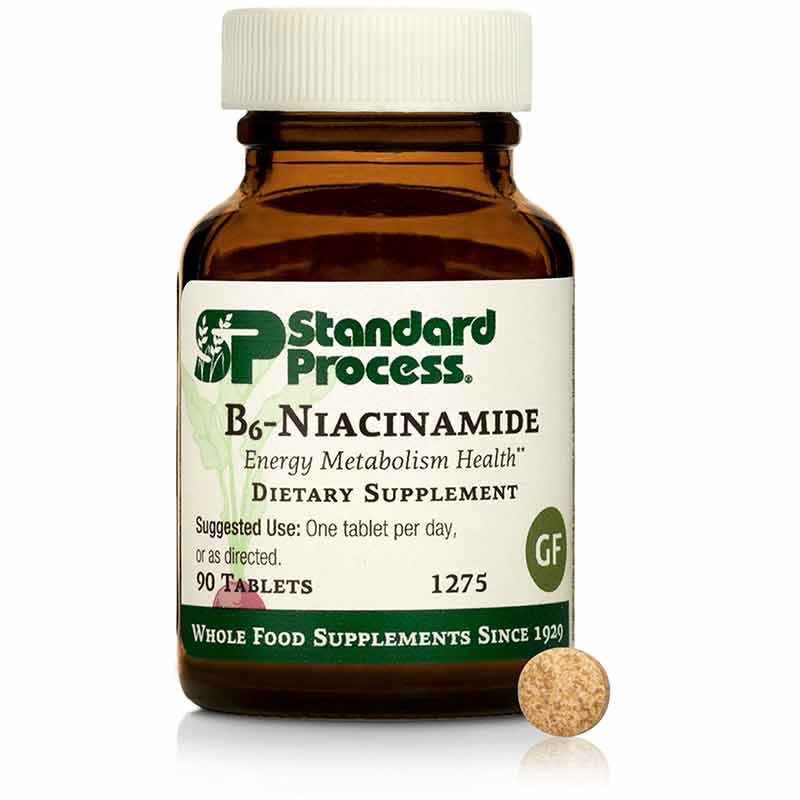 B6 Niacinamide, 90 Tablets, by Standard Process