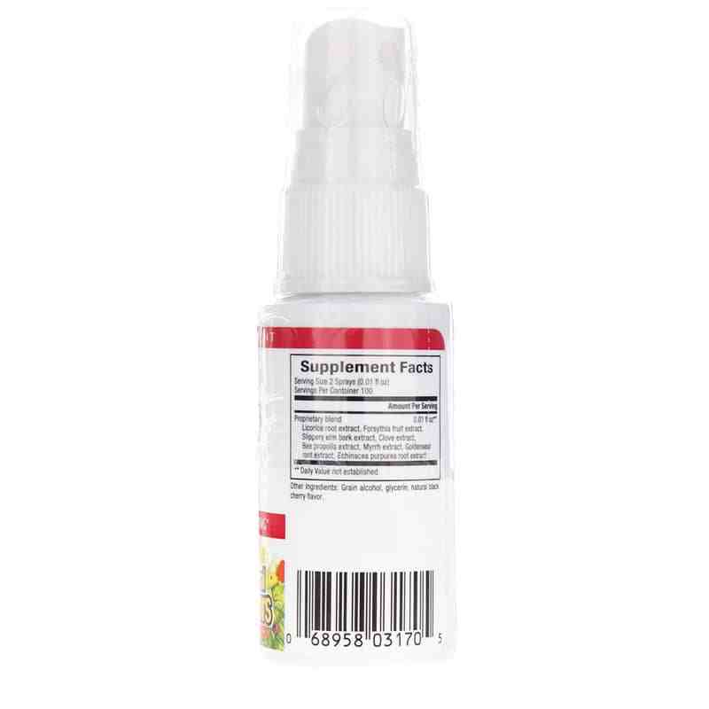 Bee Propolis Throat Spray, by Natural Factors, image #2